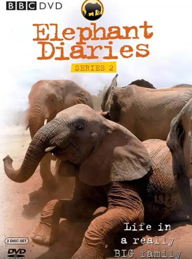 《大象日记 第二季》：治愈系纪录片，与小象们共同成长的温暖时光