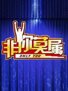 《非你莫属2017》：夏日奇幻，现实与梦想的交织，青春悸动中的成长与选择