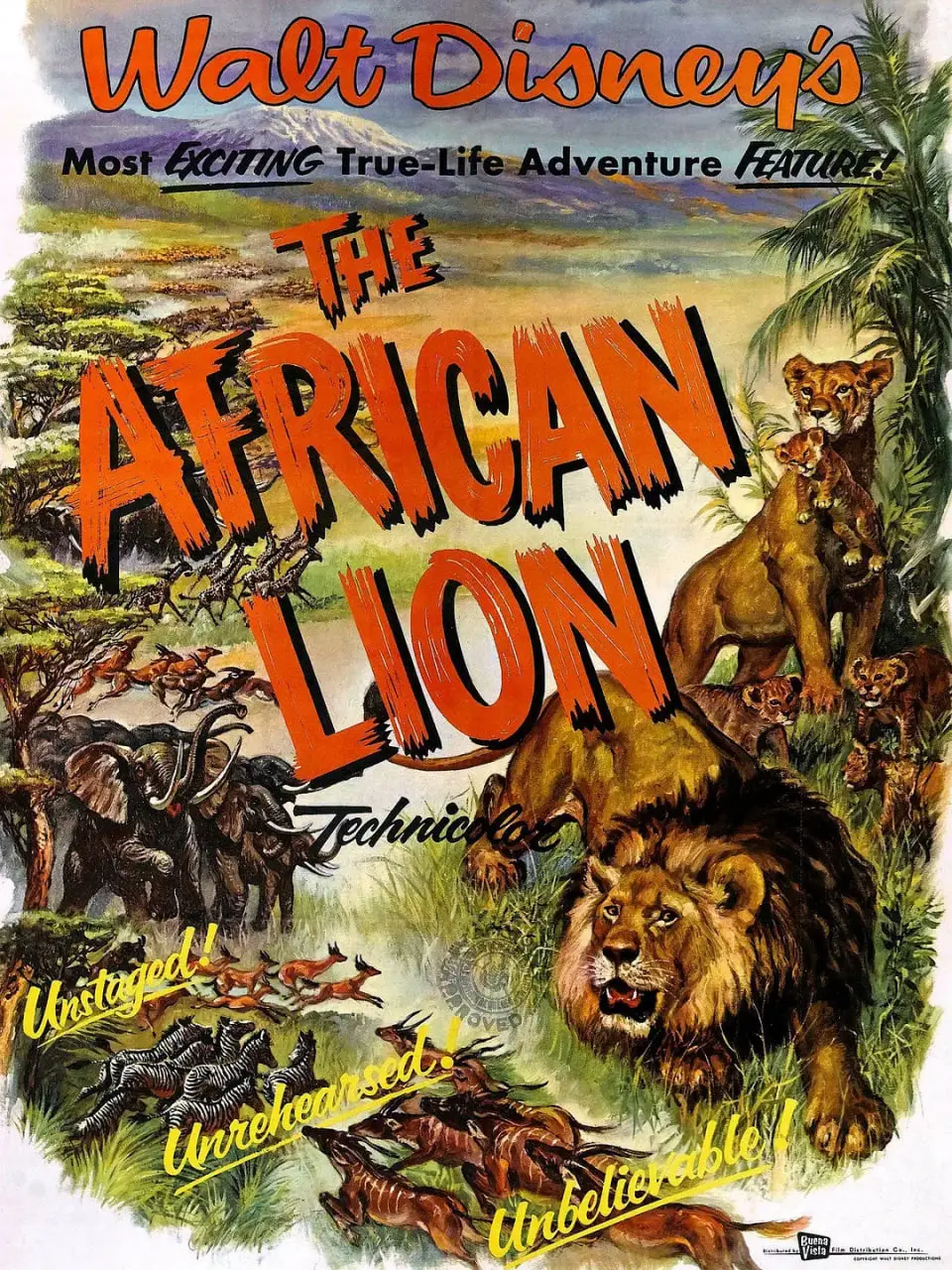 《猛兽 1955》：时代烙印下的青春野性，一段不容忽视的禁忌之恋！