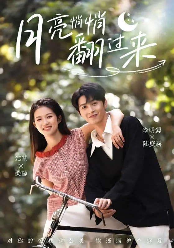 《月亮悄悄翻过来》：失恋后的自我疗愈，一场寻找爱与勇气的治愈之旅